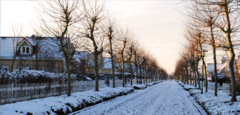 Eindruck aus dem Ferienpark im Winter 2012